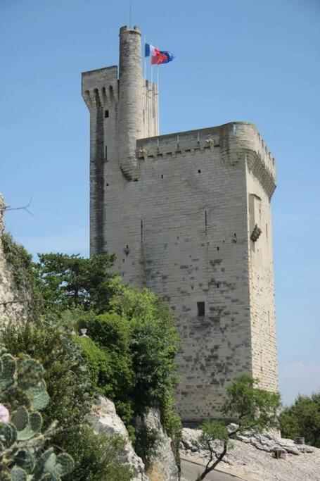 La Cigale - Vieux Village - Charmante Maisonnette Climatisee Avec Jardin Villeneuve-lès-Avignon Extérieur photo