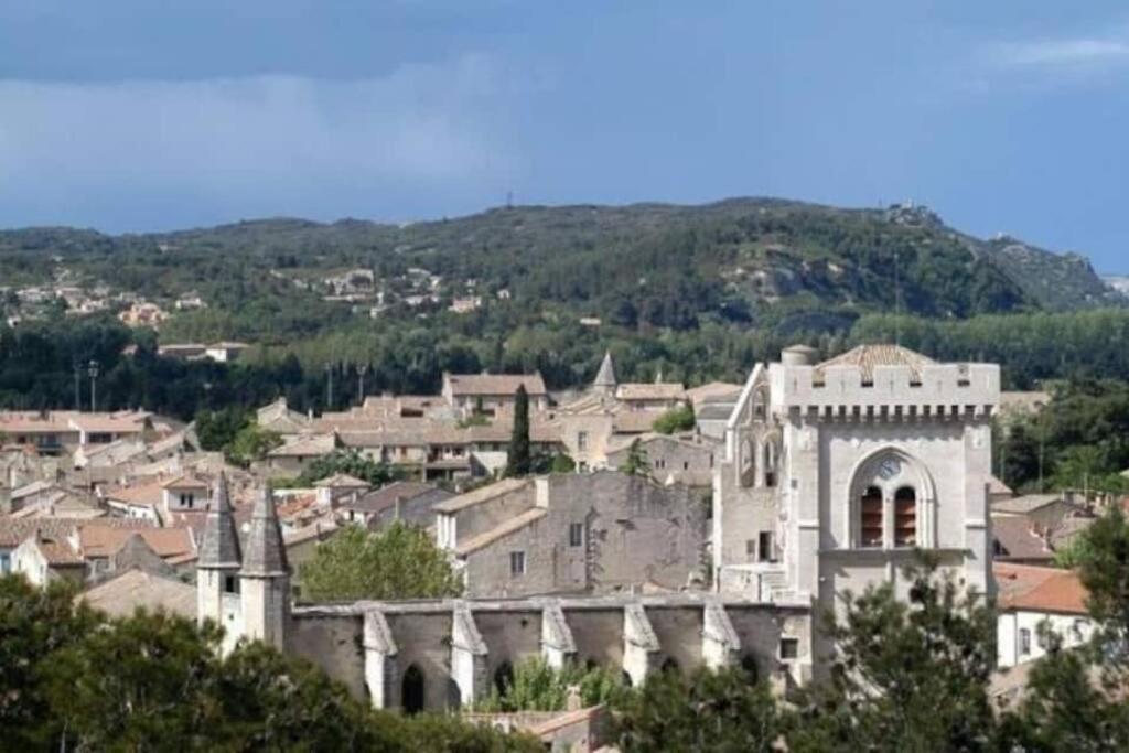 La Cigale - Vieux Village - Charmante Maisonnette Climatisee Avec Jardin Villeneuve-lès-Avignon Extérieur photo